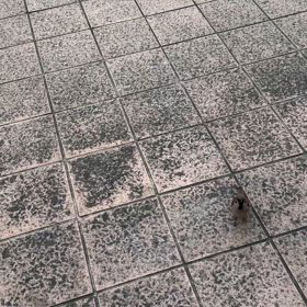 カニパンの画像