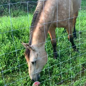 病院デーの画像