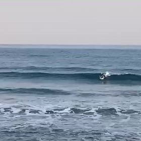 ３／２３（日）Ａｘｉｓ　Ｓｕｒｆ：ＢＯＳＳ’ｓ・・・波情報！！の画像