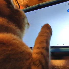 見たな〜(ΦωΦ)の画像