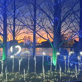 イルミネーションの画像