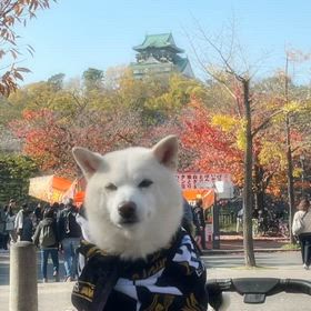 サム　大阪城公園への画像