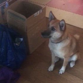 石岡八郷ベースの画像