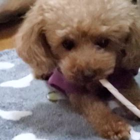 11月23日夜の画像