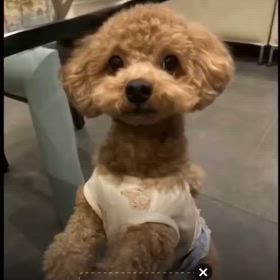 故障との戦いの画像