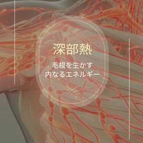 深部熱と頭皮との関係の画像