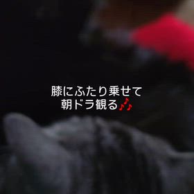 ふたり膝に乗せての画像