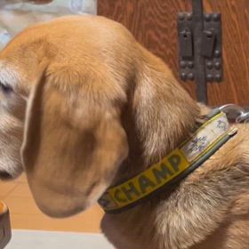 待つのは得意だよの画像