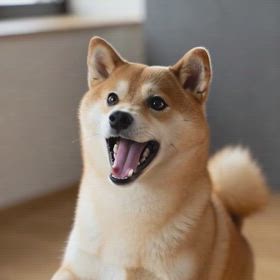 そろそろの画像