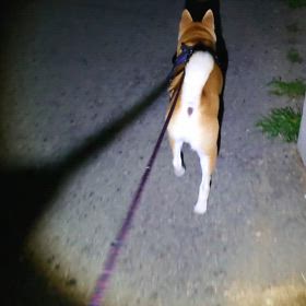 いびきさえもかわいいの画像