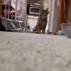 ピアノちゃんからのメッセージの画像