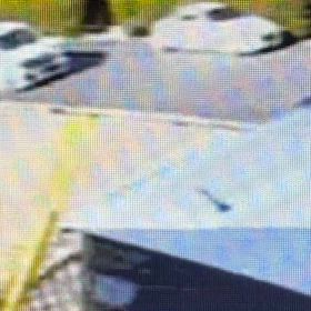 車庫入れの邪魔になってます。の画像