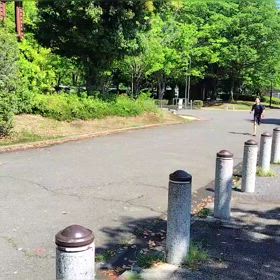 4/29 1500m（ゴール）①の画像