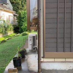 2024/06/01今週のハナの画像