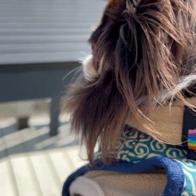 ようやく晴れましたの画像