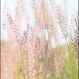 お風呂で、楽しく、リラックス　♡の画像