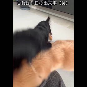 白＆氷の日常〜⭐︎の画像