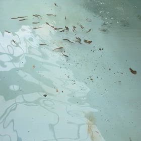 チビ鱒！増量！の画像