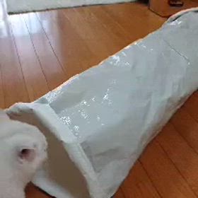 手作りトンネルの画像