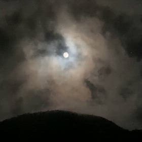 中秋の名月の画像