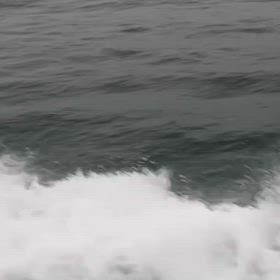 遊神！！素敵なチームでした！！の画像