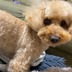 静電気ヤバッッ‼️の画像