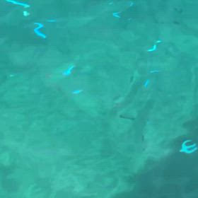 なんだなんだ??の画像