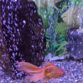 お彼岸なので納骨堂に行ってきましたの画像