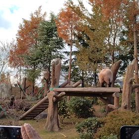 大晦日ですの画像