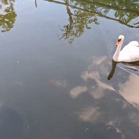 荒川自然公園の画像