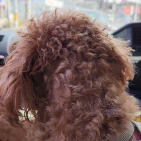 ドライブの画像