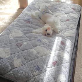 2024年7月30日火曜日の画像