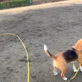 プラ―で遊んでみようの画像