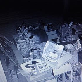 スターリングなんとかして！の画像