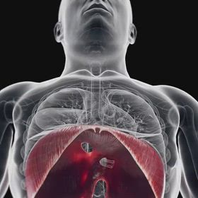 腹式呼吸を行いましょうの画像