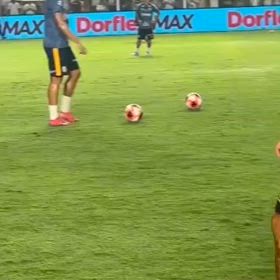 手と足の違いの画像