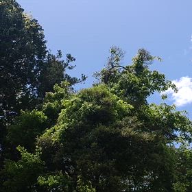 今日はいい天気の画像