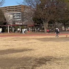 競技場練習⑫の画像