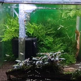 今、気づいた……。の画像