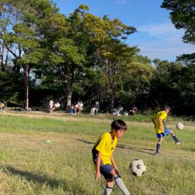 やるべきことをやるから上手くなるの画像