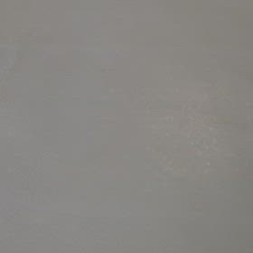 踊り場でスリスリゴロゴロニャン(=^・^=)の画像