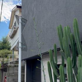 いやいやいやの画像