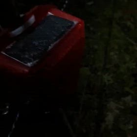 イノシシ対策しないとどうなるのか？？の画像