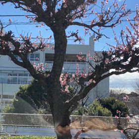 良いスタートがきれますように♡ 愛とエネルギーと癒しの循環をの画像