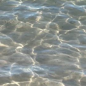 明日は期待の南風14度　ウィンドサーフィン日和になるかの画像