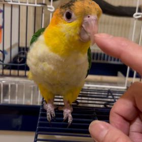 実母の入院で。の画像