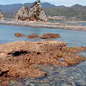 直感で行動するとおもわぬ展開になってゆく”会いたくても話したくてももうできない”　なので即行動”の画像