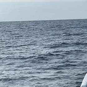 2月1日、2日クロマグロキャスティング出船の画像