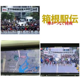 今日も見れたよ。の画像