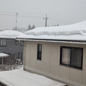 結局そんなに積もらず‥の画像